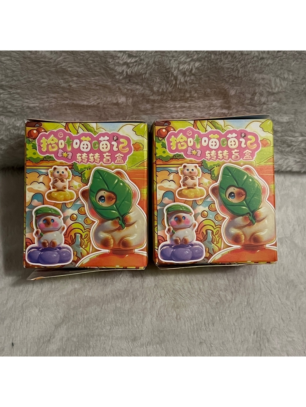 Frog Cat Diary Blind Boxes (2)